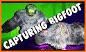 Finding Bigfoot - Yeti Monster Survival Game related image