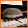 Piano Game Sonic "The Hedgehog" related image