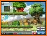Maple (beta) related image