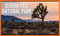 Joshua Tree National Park related image