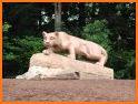 Penn State Nittany Lions related image