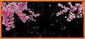 Flowers Transparent Keyboard Background related image