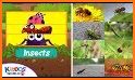 Puzzles for kids World of Insects related image