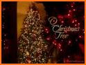 O Christmas Tree related image