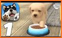 My Dog - Pet Dog Game Simulator related image