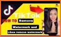 SSS Video Downloader for TikTok - No Watermark related image