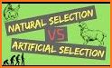 Our Natural Selections related image