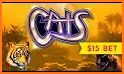 Casino Cash Cats Slots PAID related image