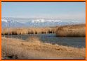 Birding Utah related image