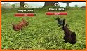 Squirrel Simulator 2 : Online related image