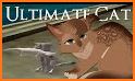 My Sweet Cat Simulator related image