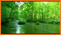 Nature Wallpaper - Green nature hd wallpaper related image