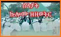 Metsihafe Seatat መጽሐፈ ሰዓታት related image