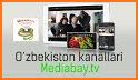 Mediabay.TV related image