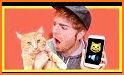 Kitten Cat Simulator:Cute cat SMASH Kids Room related image