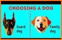 How to Learn Breeds of Dogs related image