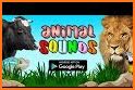 Animal Sounds : Flash Cards For Toddlers And Kids related image