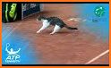 Cat Tennis Champion related image