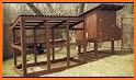 Chicken Coop Plans related image