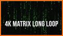 Digital Matrix Code Rain Live Wallpaper related image