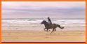 Horse Riding Surfers related image