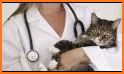 Village Veterinary Center related image