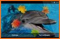 Dolphin HD Wallpaper related image