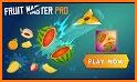 Fruit Master PRO related image