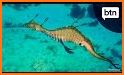 Seadragon Mixup related image