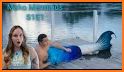 Mako Mermaids : Quiz Game related image