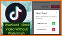 Video Downloader Without Watermark - TikMate related image