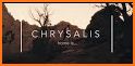 Chrysalis Home related image