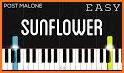 Sunflower Keyboard Theme related image