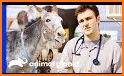 Pet Doctor Dentist Care Clinic related image