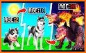 Dog Life Simulator Pet Games related image