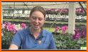 Star Nursery Garden Centers related image