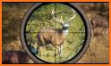 Deer Hunting Wild Animal Shooting Games 2021 related image