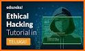 Ethical Hacking 2019 Tutorial Videos Free related image