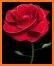 Flowers And Roses Images GIFs related image