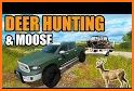 Deer Hunting Sniper Hunter : Shooting Simulator related image