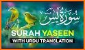 Surah Yasin Urdu Translation related image