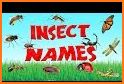 Kids Insect Letters Numbers related image