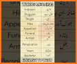 Filipino - Urdu Dictionary (Dic1) related image