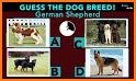 Dog Breeds: Quiz related image