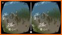 VR Ocean Aquarium 3D - Underwater National Park VR related image