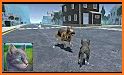 Cat Simulator - Animal Life related image