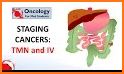 TNM Classification of Malignant Tumours, 8th Ed related image