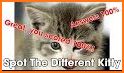 Cats Quiz related image