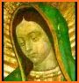 Virgin Of Guadalupe Roses Live Wallpaper related image