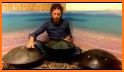 Handpan D Celtic Minor Real Handpan Sounds HQ related image